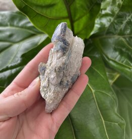 Kyanite Specimen #160, 138gr