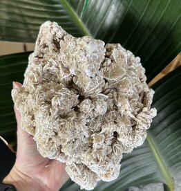 Desert Rose Raw Specimen #195, 1846gr *disc.*