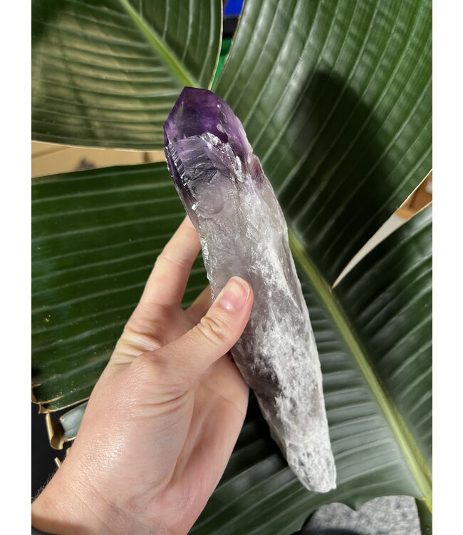 Amethyst Root #56, 542gr *disc.*