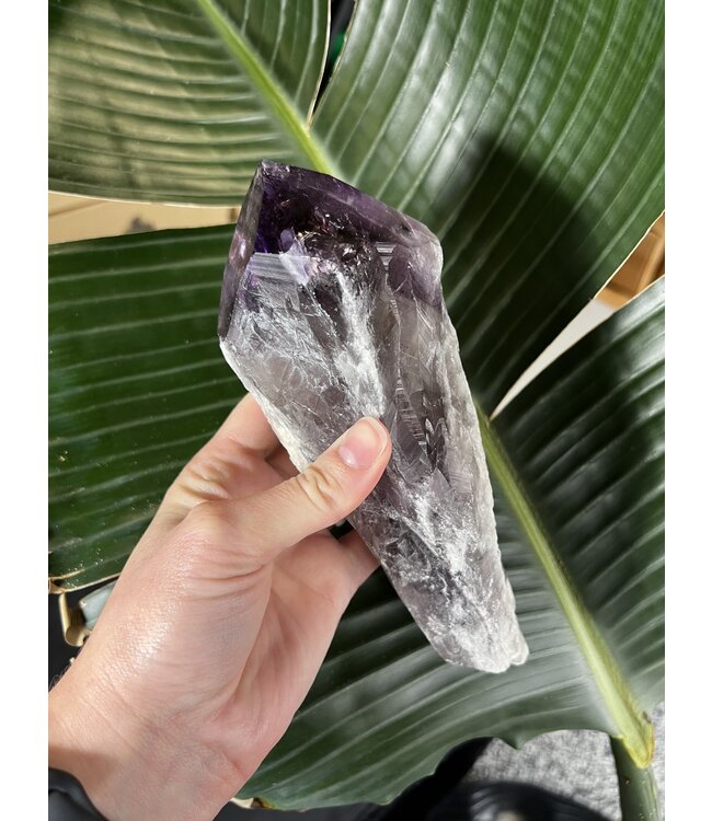 Amethyst Root #60, 666gr *disc.*