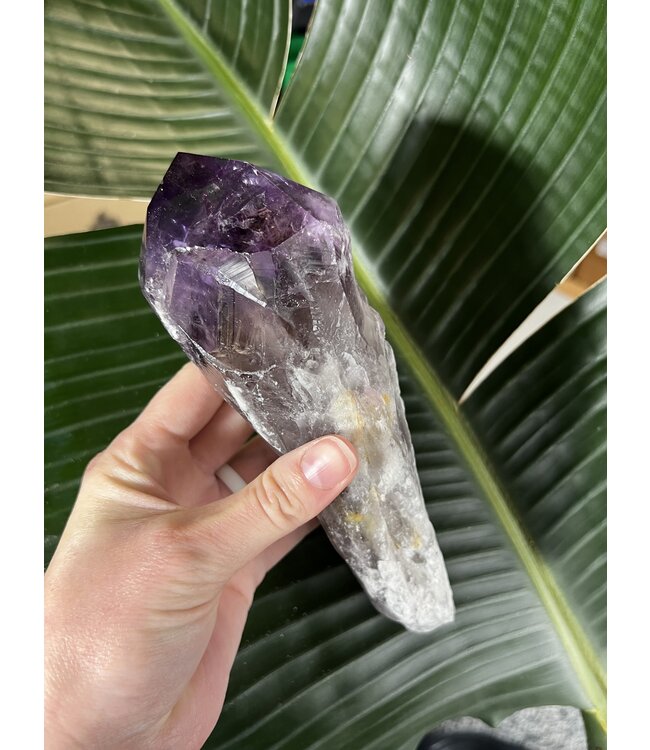 Amethyst Root #62, 652gr *disc.*