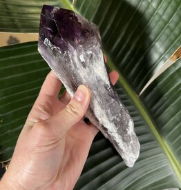 Amethyst Root #74, 598gr *disc.*