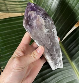 Amethyst Root #82, 492gr *disc.*