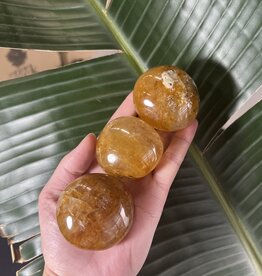 Golden Healer Palm Stone, Size Medium [100-124gr]