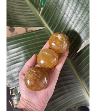 Golden Healer Palm Stone, Size Medium [100-124gr]