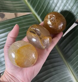 Golden Healer Palm Stone, Size X-Large [150-174gr]