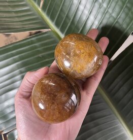Golden Healer Palm Stone, Size XX-Large [175-199gr]