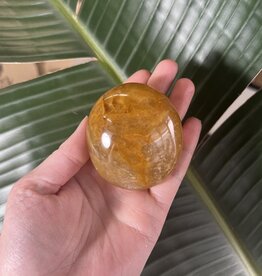Golden Healer Palm Stone, Size Jumbo [200-224gr]