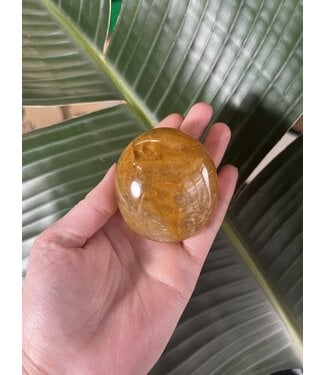 Golden Healer Palm Stone, Size Jumbo [200-224gr]