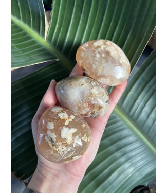 Flower Agate Palm Stone, Size Jumbo [200-224gr]