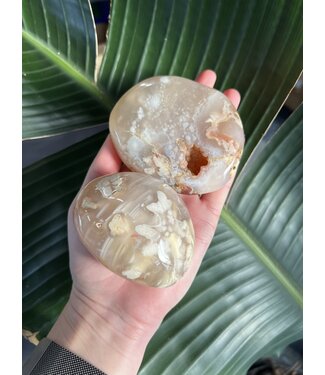 Flower Agate Palm Stone, Size Giant [250-274gr]