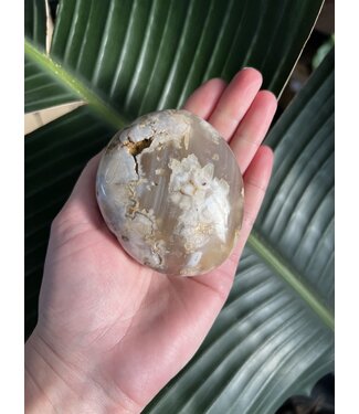 Flower Agate Palm Stone, Size Giant-Plus [275-299gr]