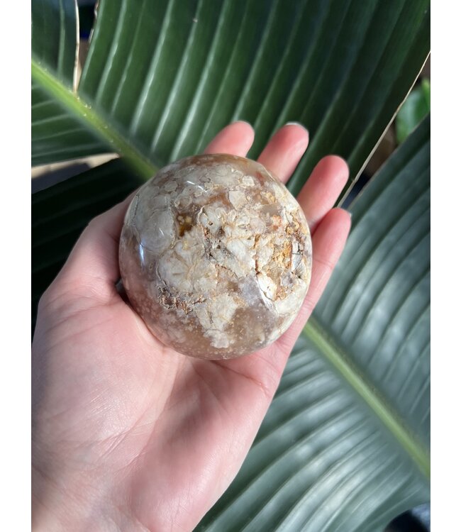 Flower Agate Palm Stone, Size Monster-Plus [325-349gr]