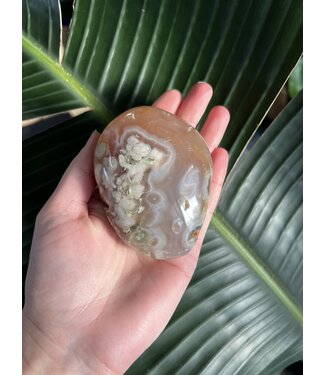 Flower Agate Palm Stone, Size Monster [300-324gr]