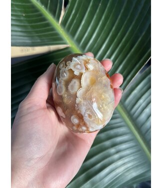 Flower Agate Palm Stone, Size Dino-Plus [375-399gr]