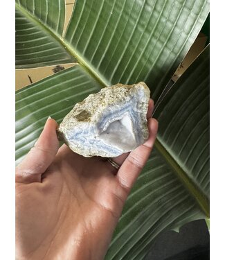 Blue Lace Agate Raw Geode #466, 260gr