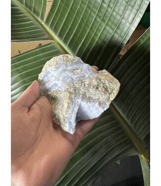 Blue Lace Agate Raw Geode #467, 354gr