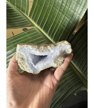 Blue Lace Agate Raw Geode #468, 522gr