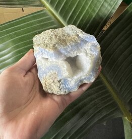 Blue Lace Agate Raw Geode #469, 476gr