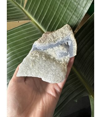Blue Lace Agate Raw Geode #463, 524gr