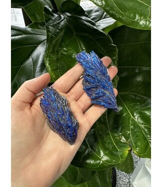 Blue Aura Kyanite Size 11 (55-59gr)
