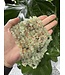 Prehnite Chip Beads Polished 31.5" Strand