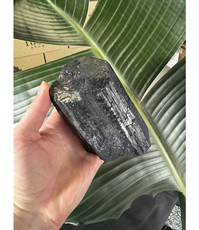 Raw Black Tourmaline Specimen #76, 692gr
