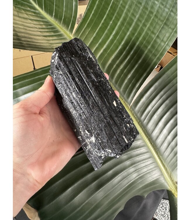 Raw Black Tourmaline Specimen #89, 974gr