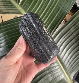 Black Tourmaline Specimen #102, 548gr