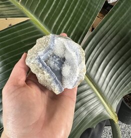 Blue Lace Agate Raw Geode #481, 342gr