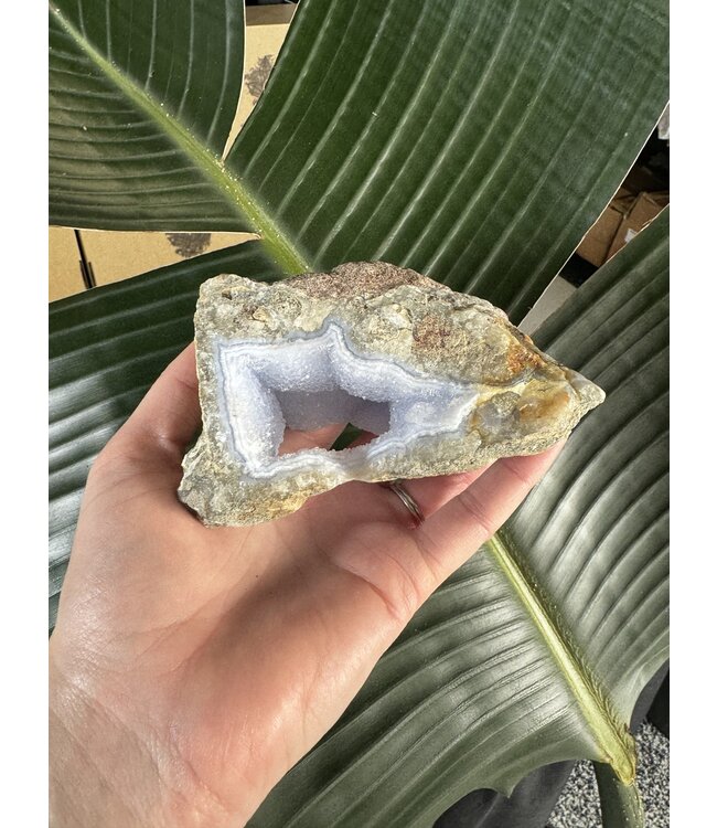 Blue Lace Agate Raw Geode #482, 502gr