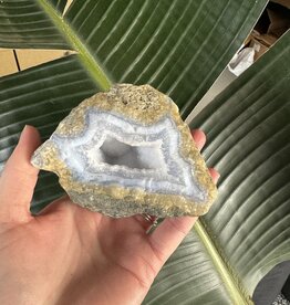 Blue Lace Agate Raw Geode #483, 498gr