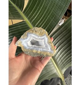 Blue Lace Agate Raw Geode #483, 498gr