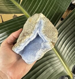 Blue Lace Agate Raw Geode #485, 564gr