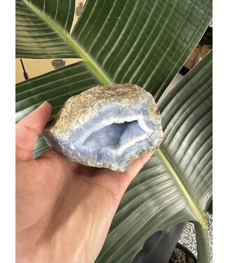 Blue Lace Agate Raw Geode #494, 426gr