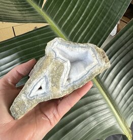 Blue Lace Agate Raw Geode #496, 504gr