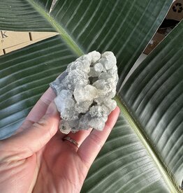 Apophyllite Specimen #720, 194gr