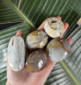 Ocean Jasper Palm Stone, Size X-Small [50-74gr]