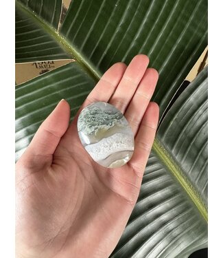 Moss Agate Palm Stone, Size XX-Small [25-49gr]