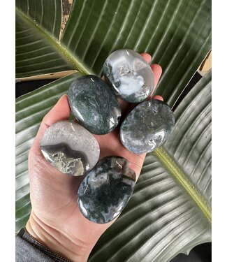Moss Agate Palm Stone, Size X-Small [50-74gr]