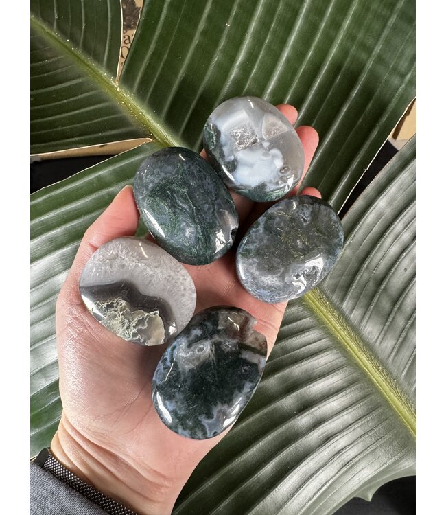 Moss Agate Palm Stone, Size X-Small [50-74gr]