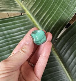 Polished Malachite #58, 14gr