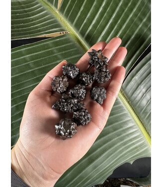 Prophecy Stone Size Small [10-19gr]