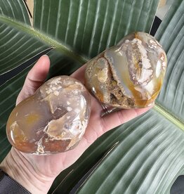 Flower Agate Heart, Size Dino [350-374gr]