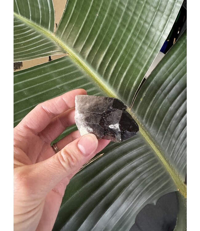 Smoky Quartz Cluster #217, 82gr