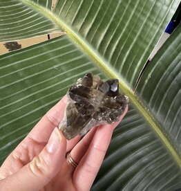 Smoky Quartz Cluster #231, 72gr