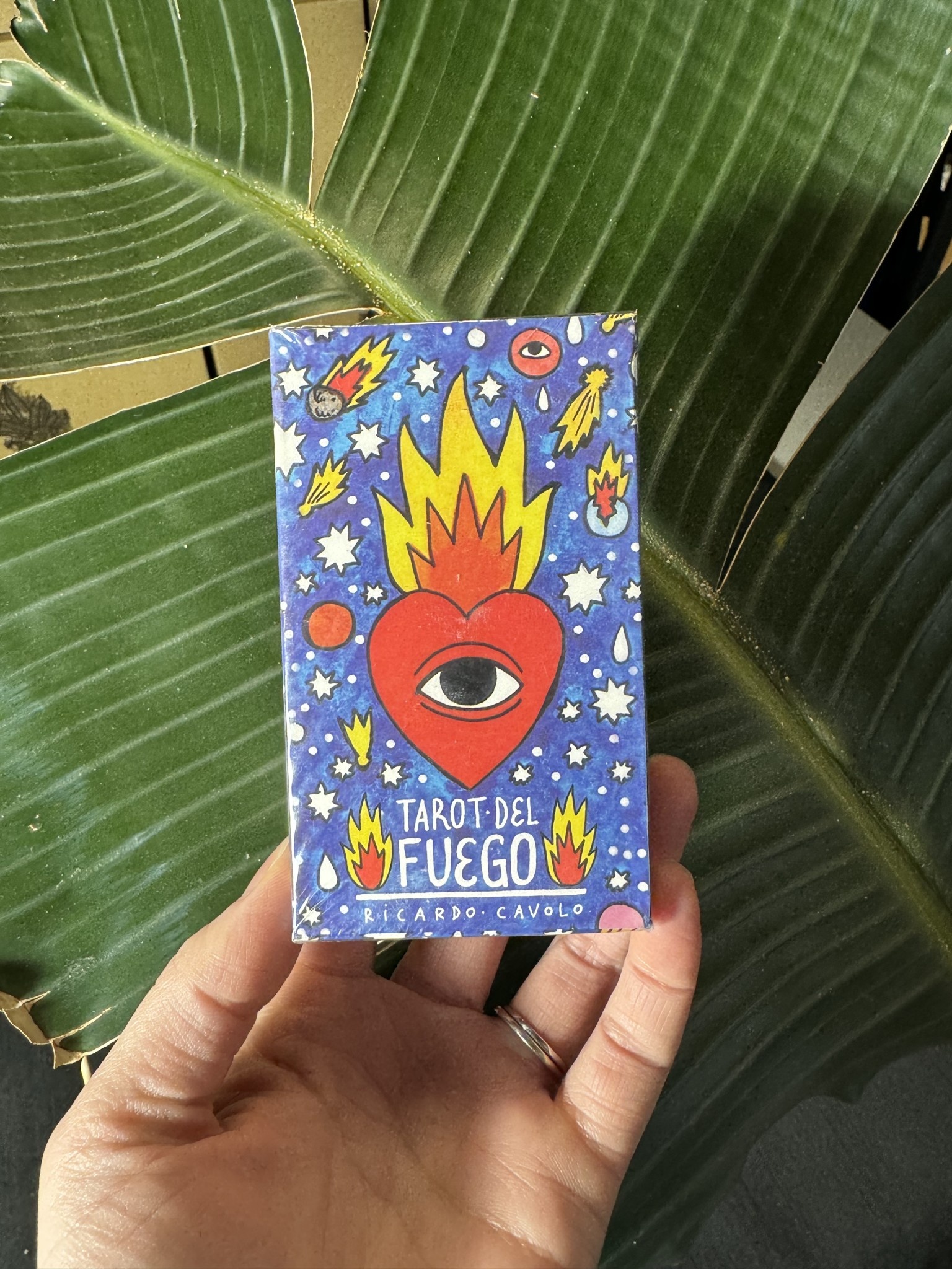 Tarot Del Fuego Card Deck - The Raw Rock Shop Inc.