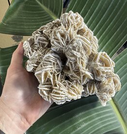 Desert Rose Raw Specimen #203, 1506gr