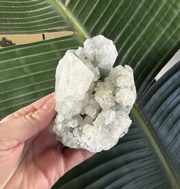 Apophyllite Specimen #803, 430gr