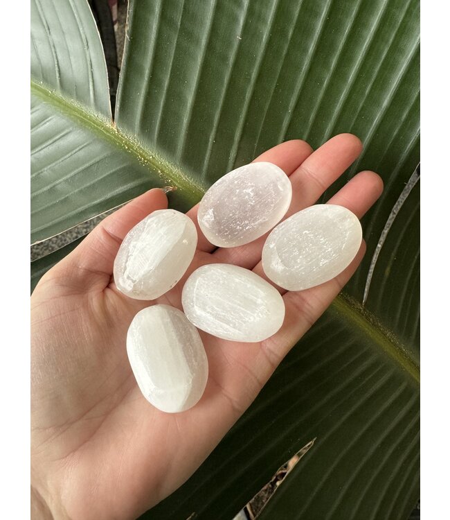 Selenite Tumble, Polished Selenite Stone, purchase individual or bulk
